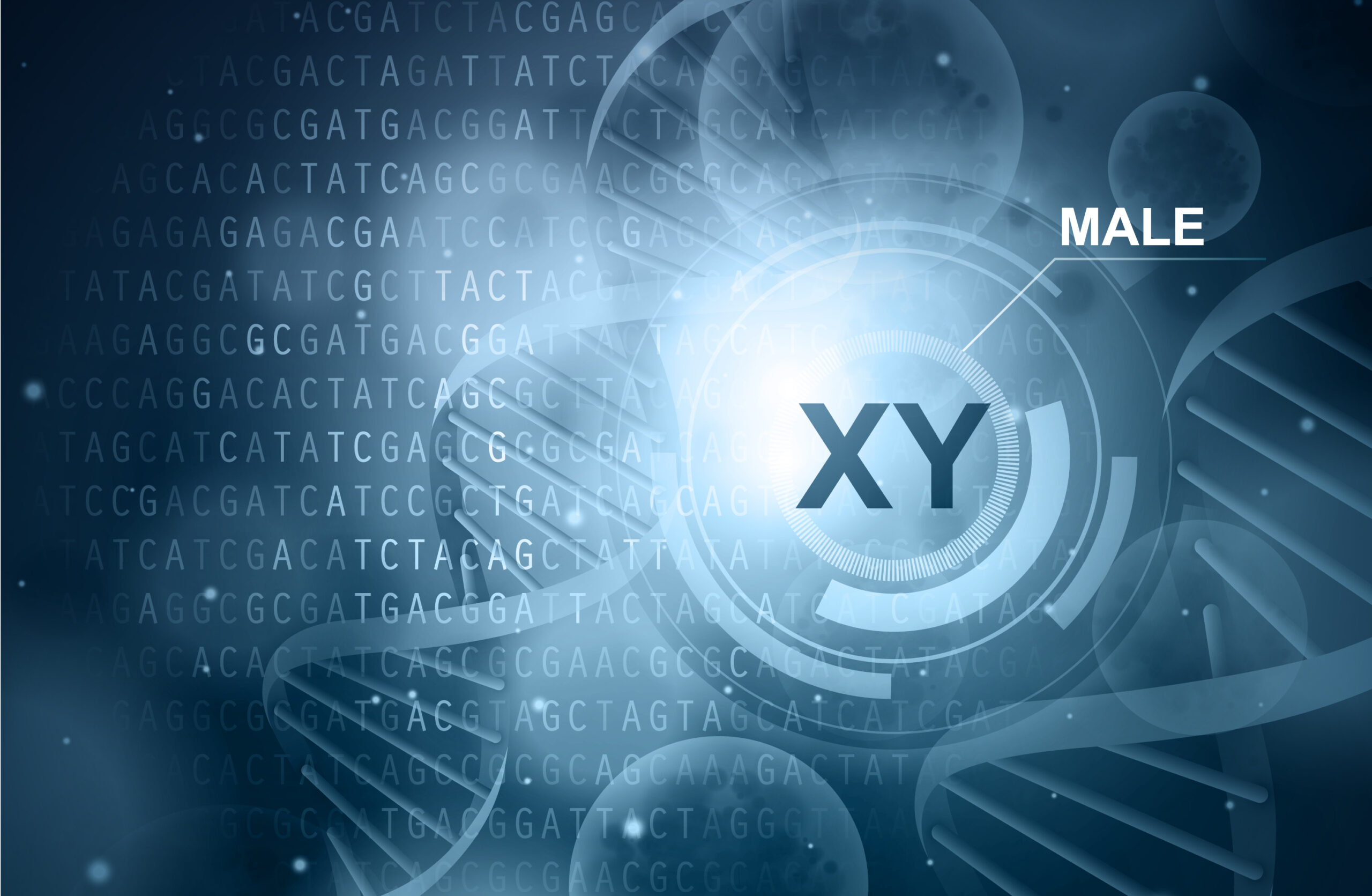 Gender - XY chromosome