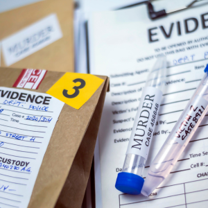 Evidence example image