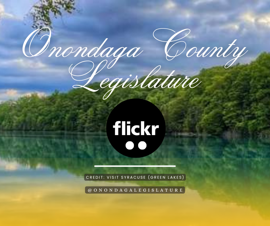 Background picture of summer park; foreground picture of Flickr logo