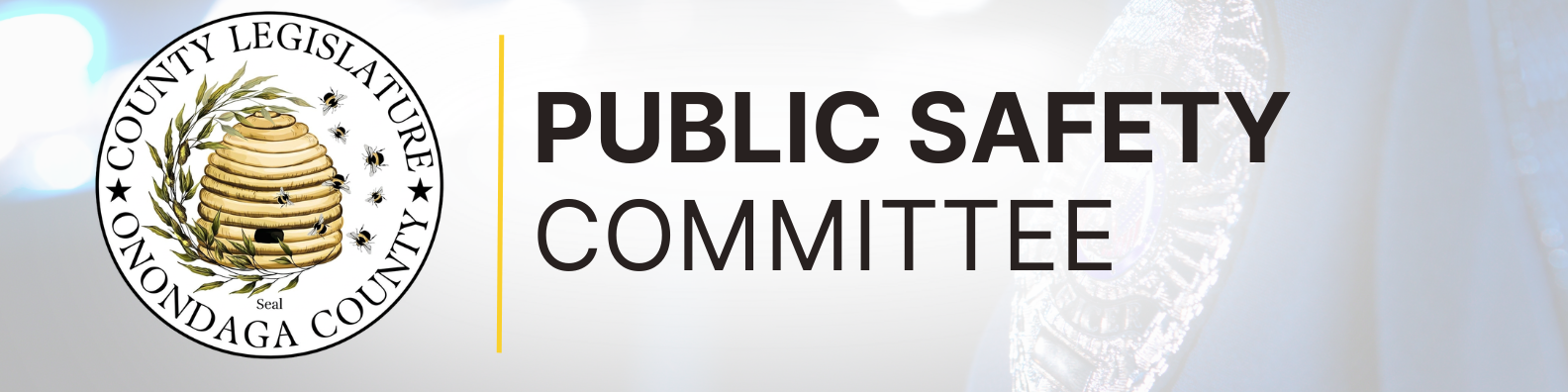 Committee Banner