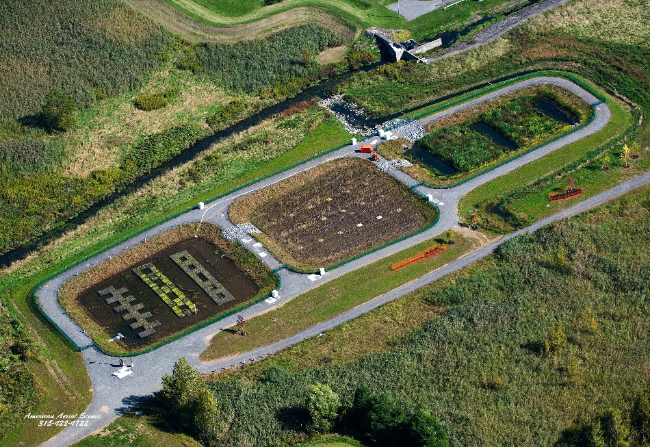 Aerial view of Harbor Brook Wetland
